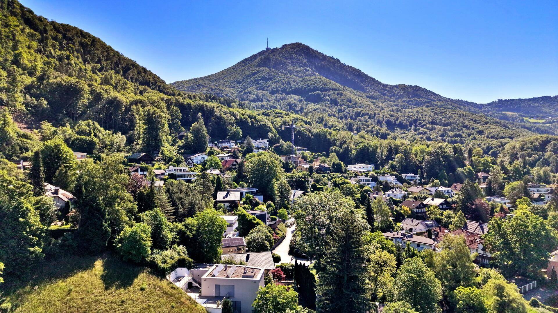 Weitläufige Ansicht eines Tals mit vielen Häusern, umgeben von Wäldern und einem markanten Berg.
