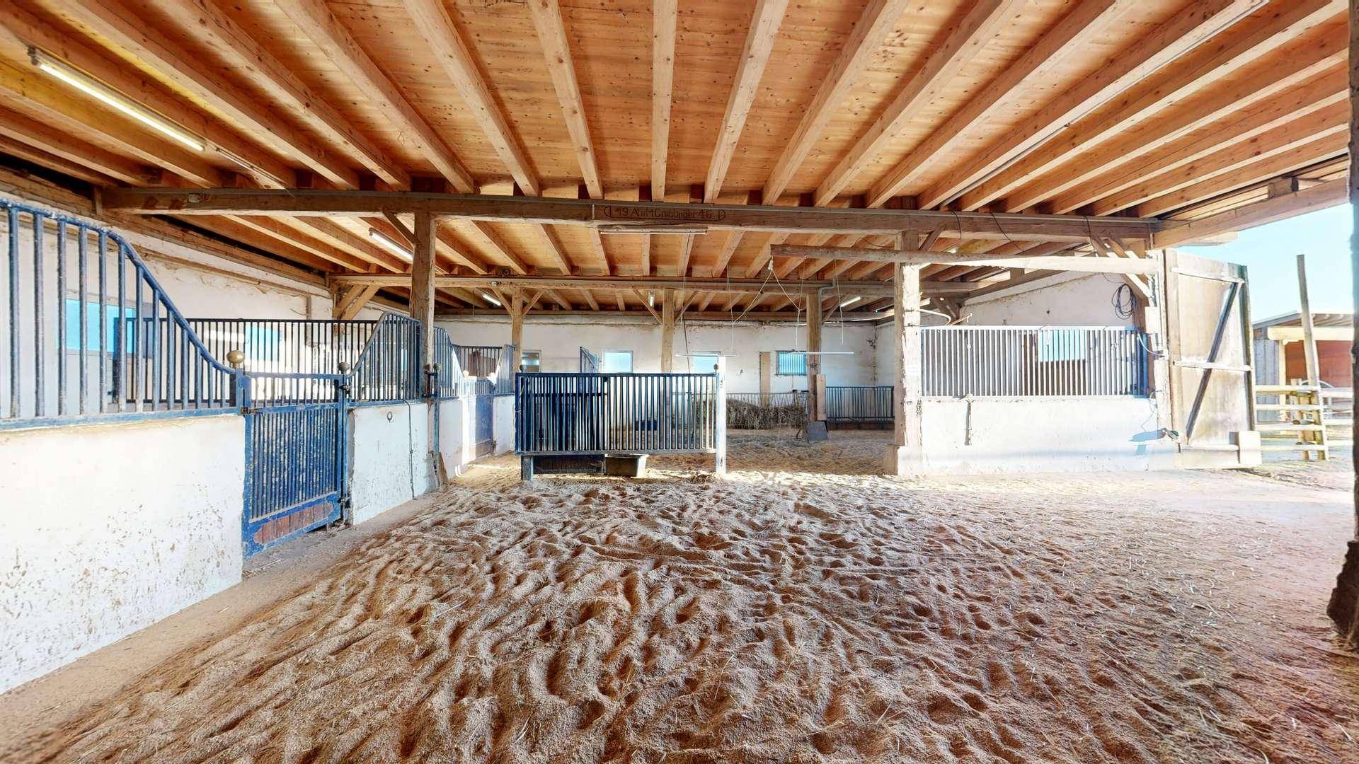 Geräumiger Pferdestall mit Holzdecken und mehreren Boxen, bereit zur Nutzung.
