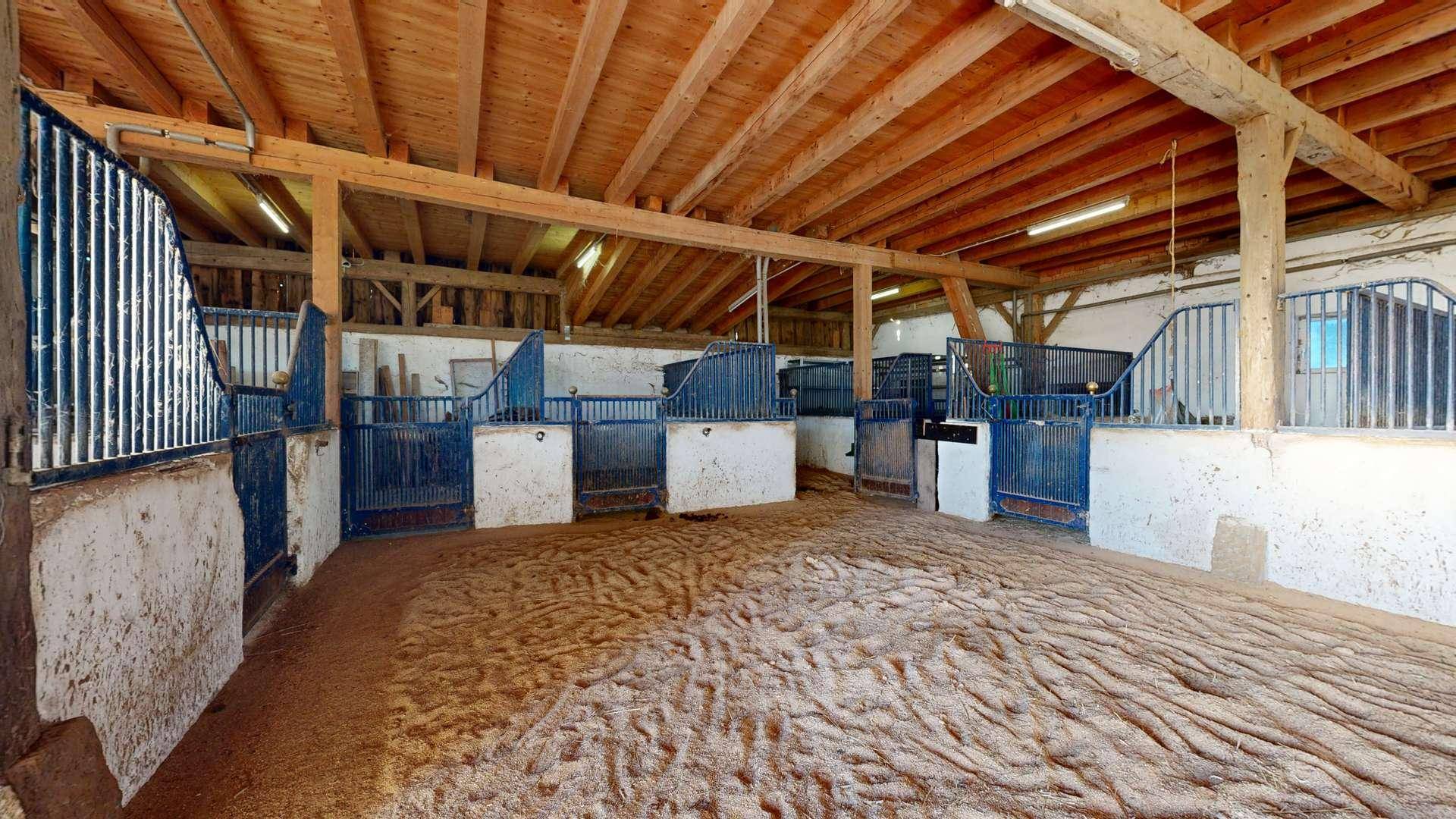 Innenansicht eines großen Stalls mit Holzbalken und sauberem Sandboden.