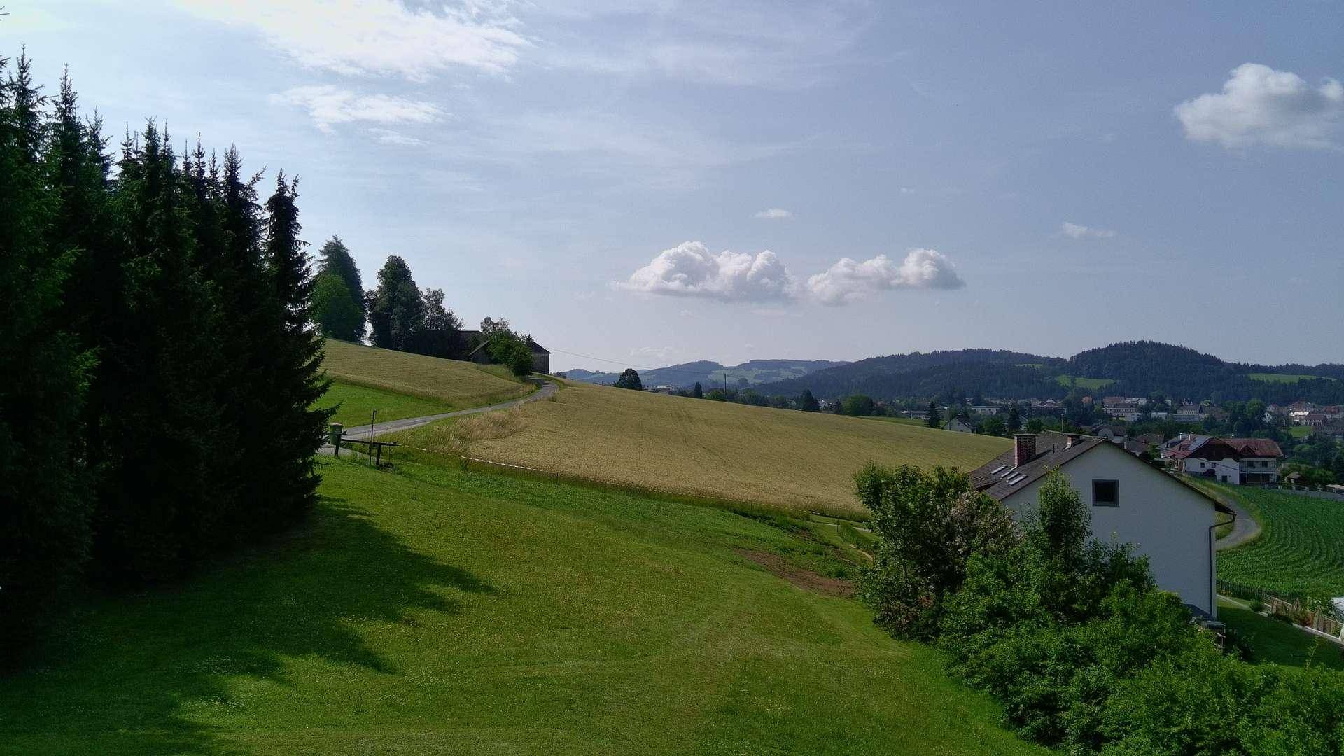 Idyllische ländliche Landschaft mit grünen Hügeln, Feldern und einem Wohnhaus am Hang.