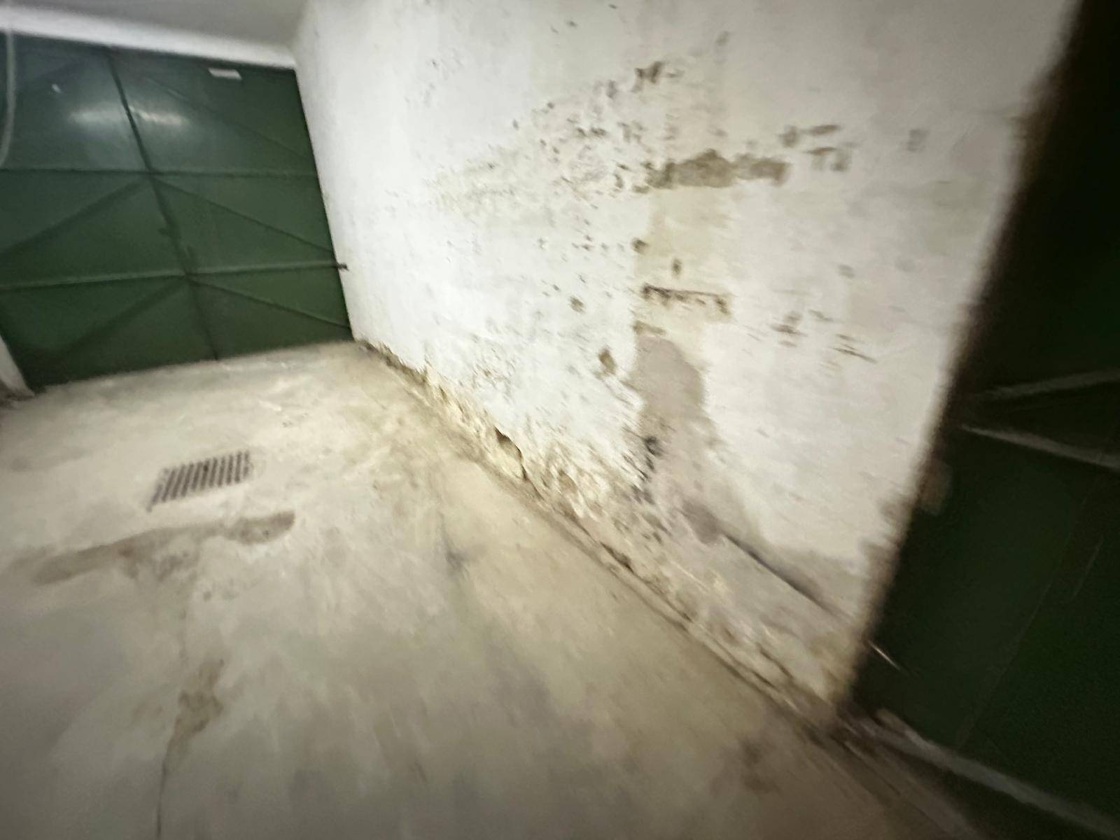 Innenraum einer Garage mit grünem Tor, Betonboden und deutlichen Feuchtigkeitsschäden an den Wänden.