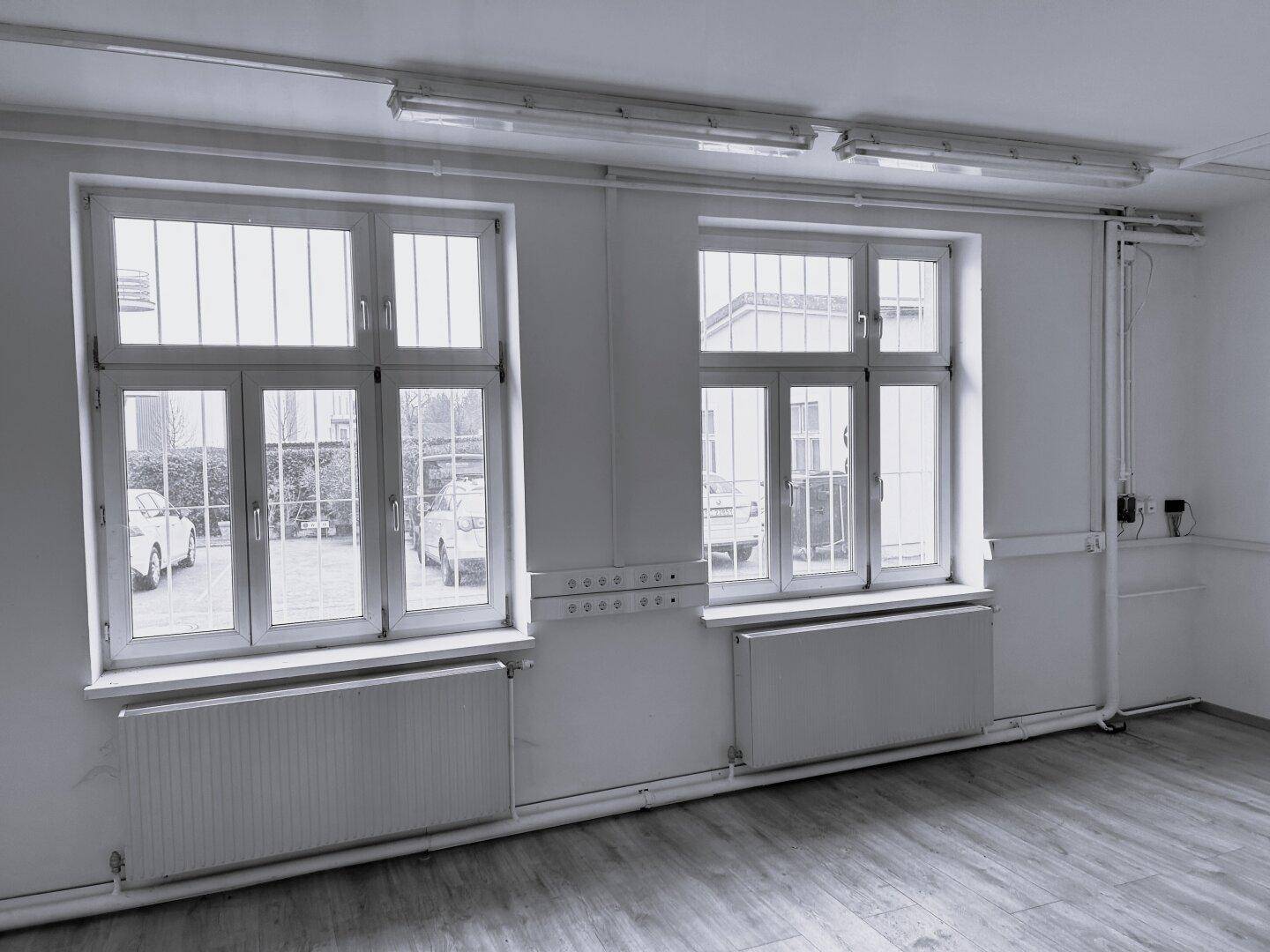 Heller Raum mit zwei großen Fenstern, Heizkörpern und Blick auf den Außenbereich.