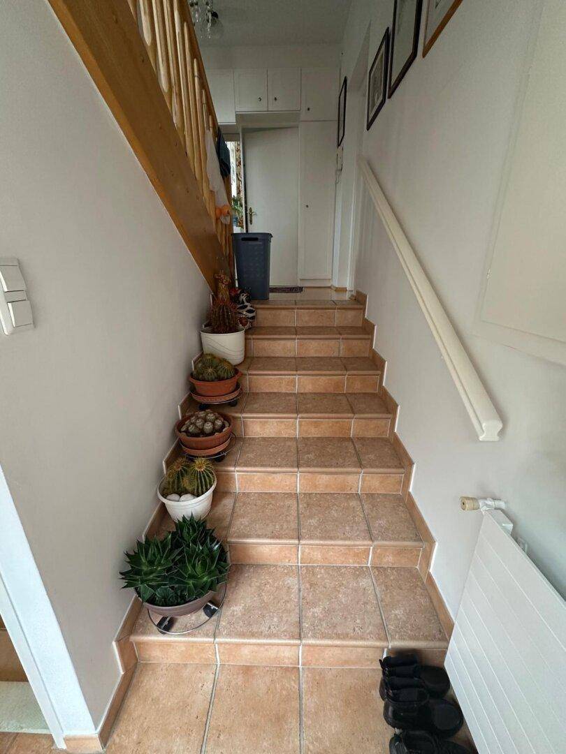 Geflieste Treppe mit Topfpflanzen, die in den unteren Bereich führt.