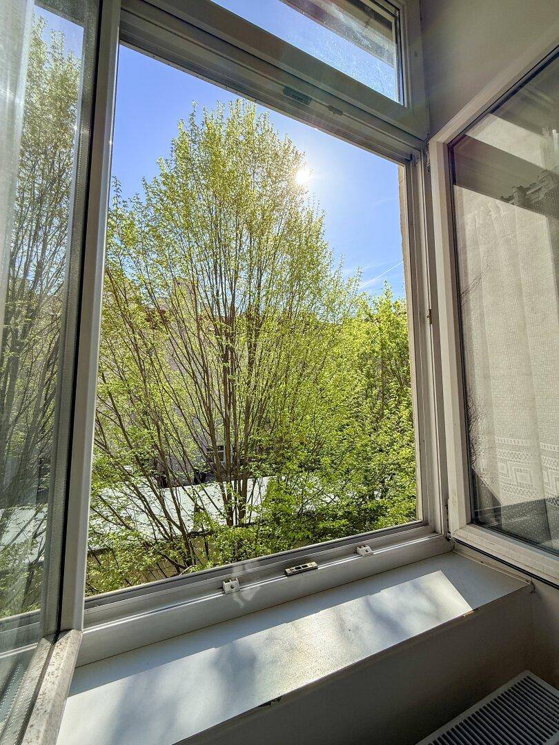 Blick aus einem geöffneten Fenster auf grüne Bäume und blauen Himmel, mit viel Sonnenlicht.