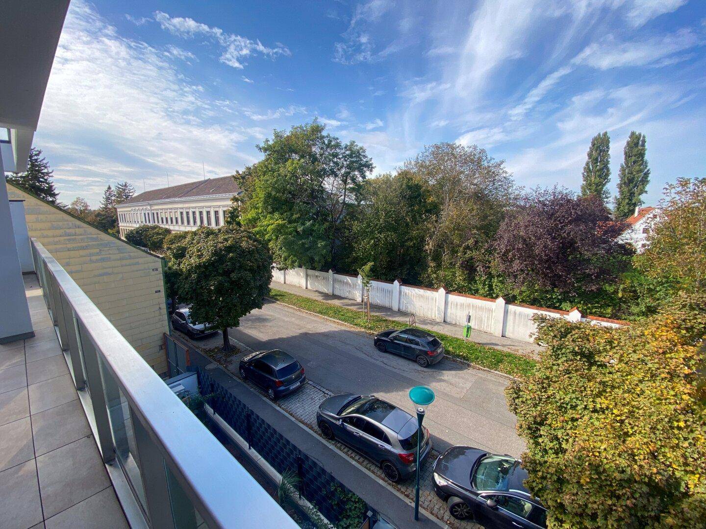 Weitblick vom Balkon auf die ruhige Straße, parkende Autos und grüne Bäume.