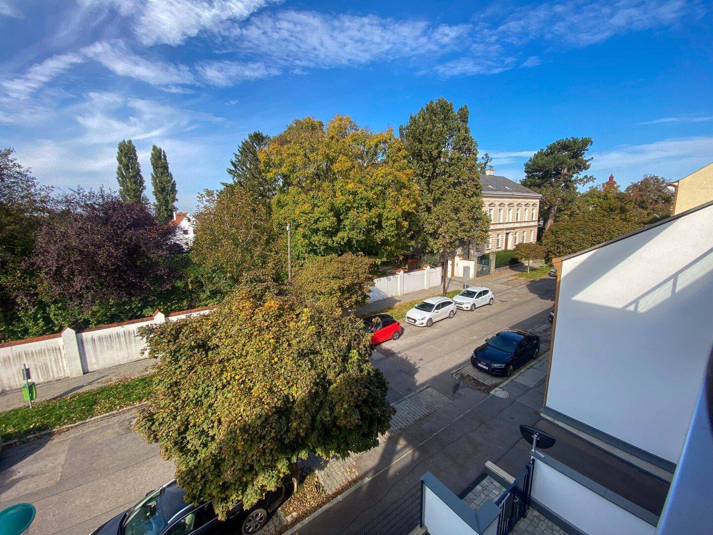 Panoramablick vom Balkon über die Baumwipfel und die umliegende Wohngegend.