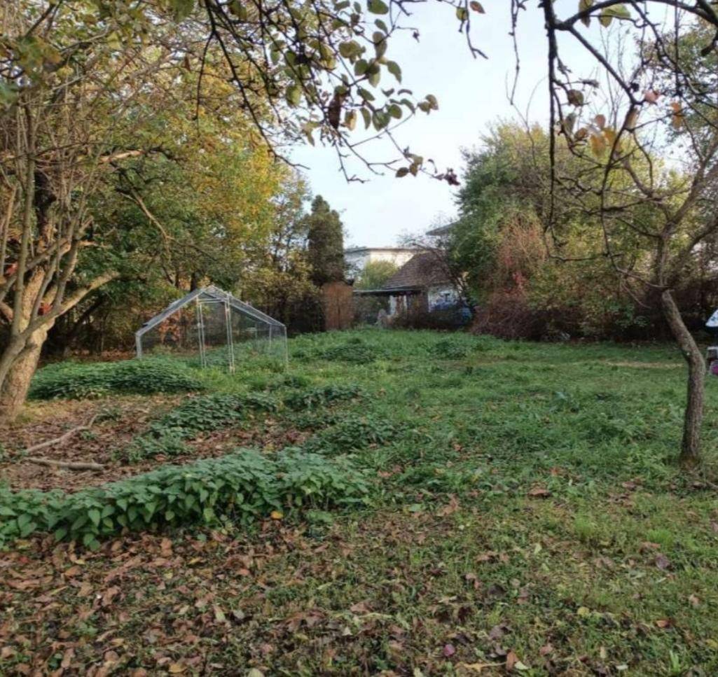 Naturbelassener Gartenbereich mit einem kleinen Gewächshaus, umgeben von Bäumen und Sträuchern.
