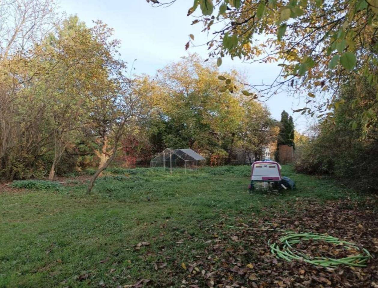 Weitläufiger Garten mit Gewächshaus und Gartenutensilien, umgeben von herbstlichen Bäumen.
