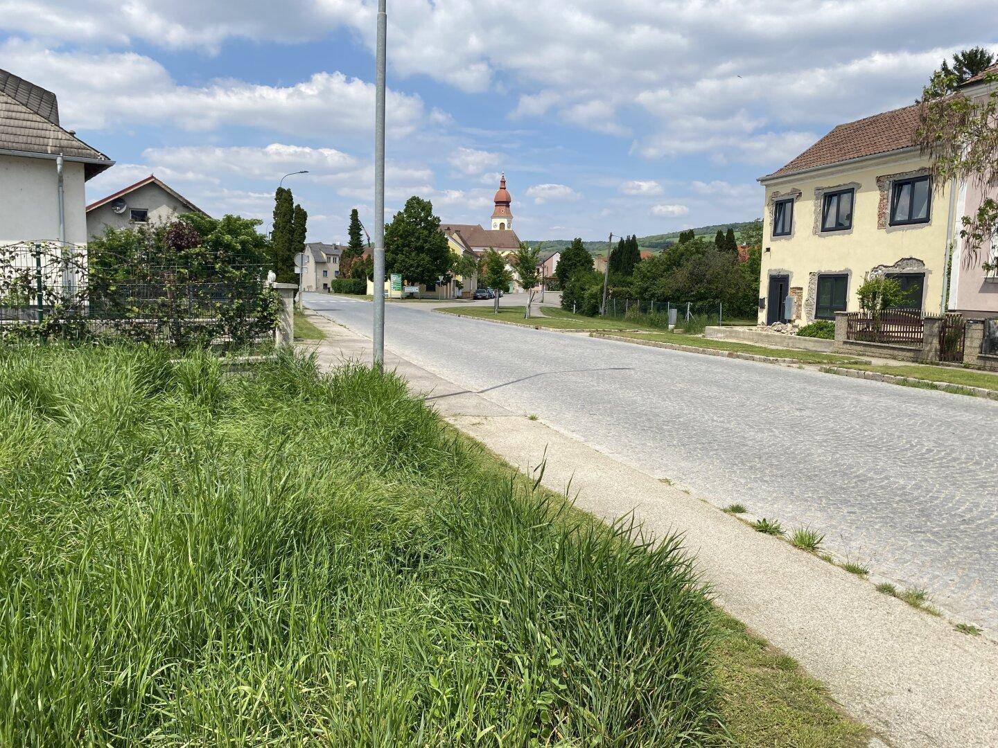 Blick auf eine Dorfstraße mit Häusern, einer Kirche im Hintergrund und bewachsenem Straßenrand.