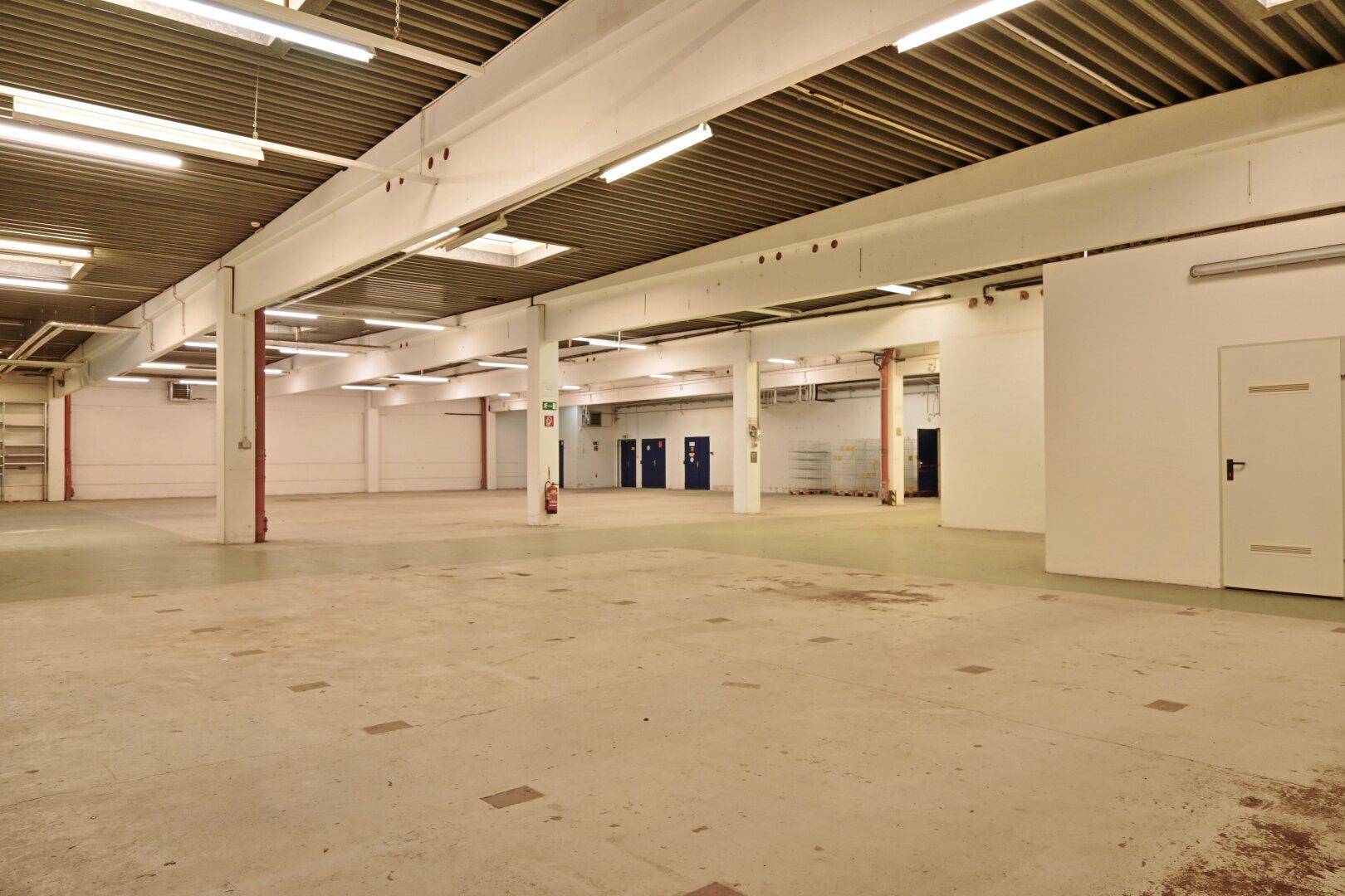 Geräumige Lagerhalle mit Betonboden, hohen Decken und Oberlichtern für natürliche Beleuchtung.
