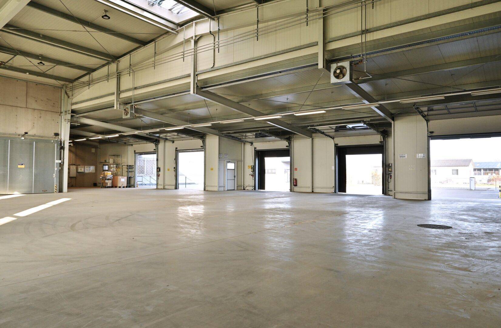 Geräumige Lagerhalle mit mehreren Rolltoren und Betonboden, ideal für den effizienten Warenumschlag.