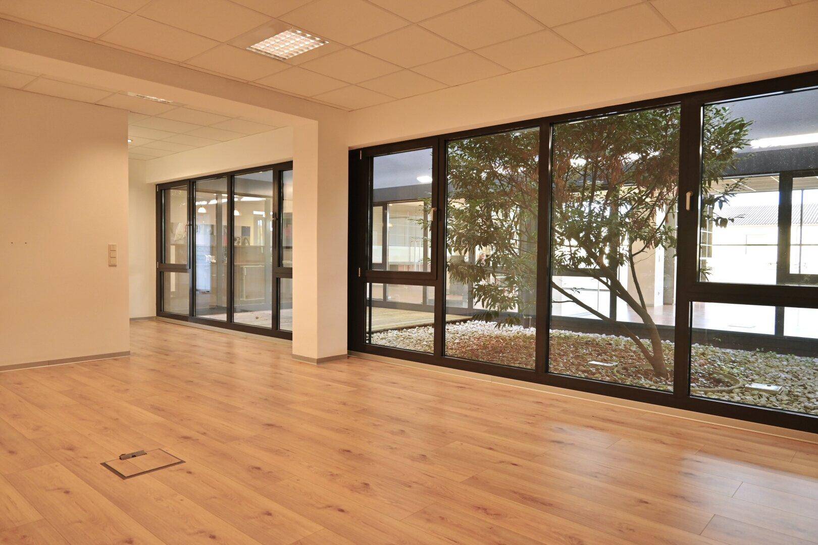 Heller Büroraum mit Holzfußboden und Blick auf einen begrünten Innenhof durch große Fenster.