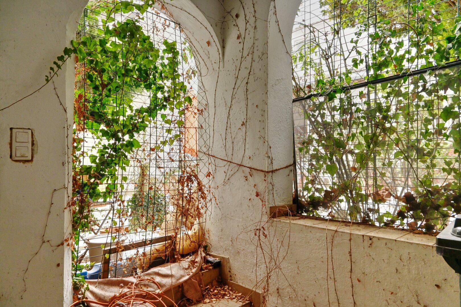 Überdachter Außenbereich mit Kletterpflanzen an einem Spalier, der eine natürliche Atmosphäre schafft.