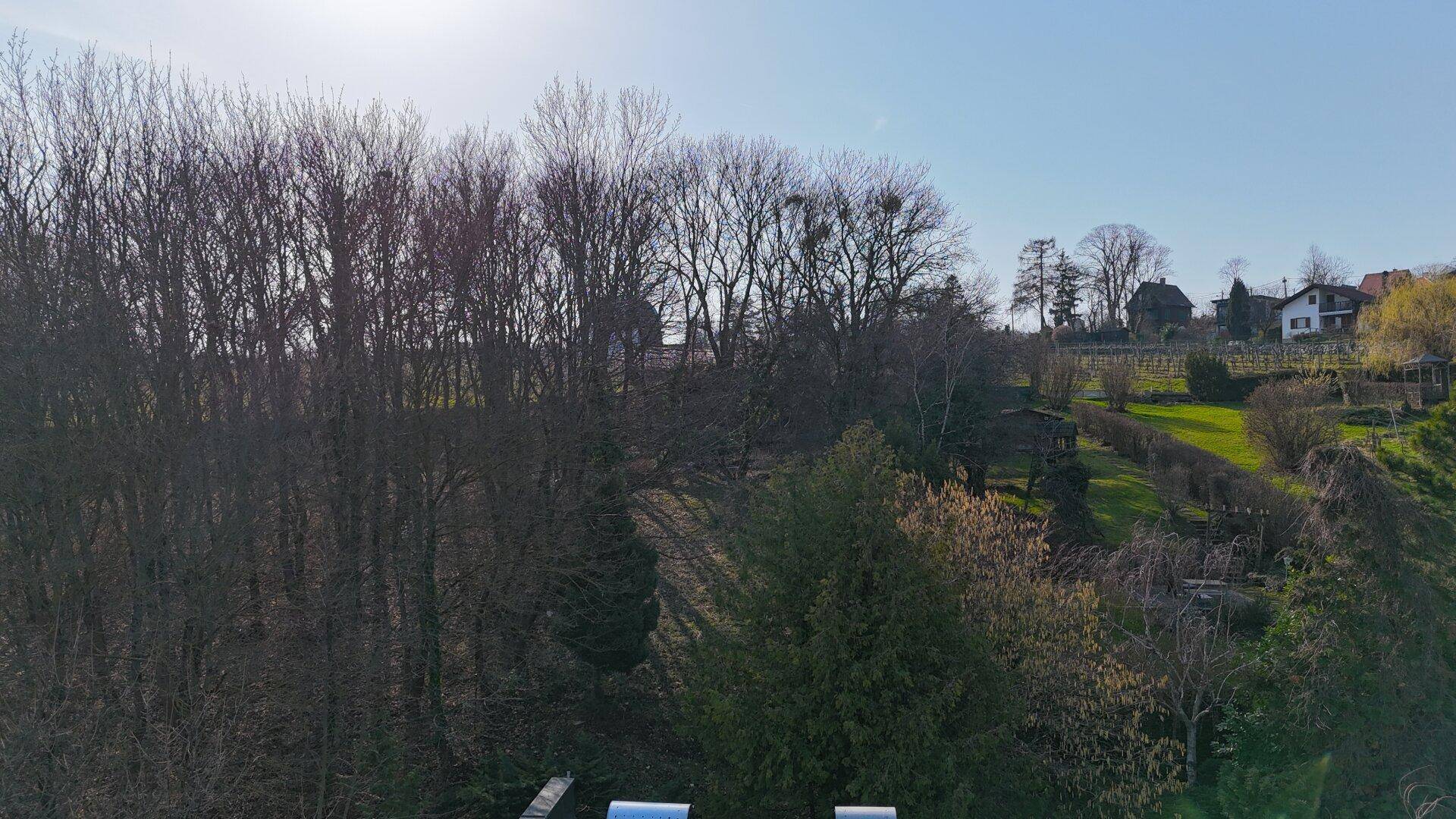 Panoramablick über die umliegende Landschaft mit Bäumen und Häusern in der Ferne.