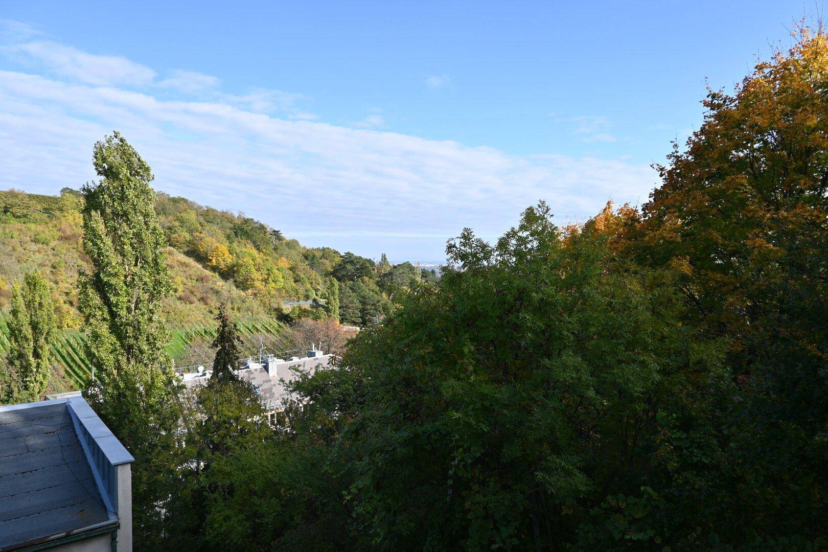 Weitläufiger Blick über grüne Hügel und Weinberge, mit Fernsicht in die Landschaft.