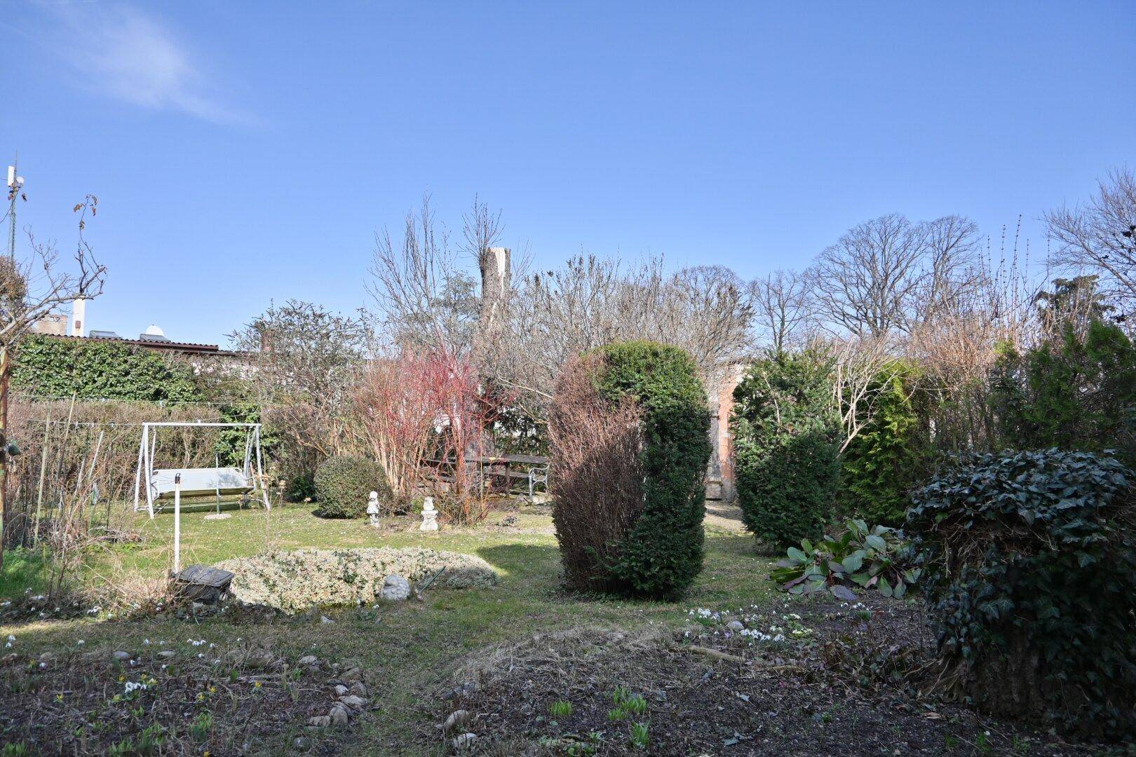 Weitläufiger Garten mit Rasenfläche, verschiedenen Pflanzen und einer Schaukel.