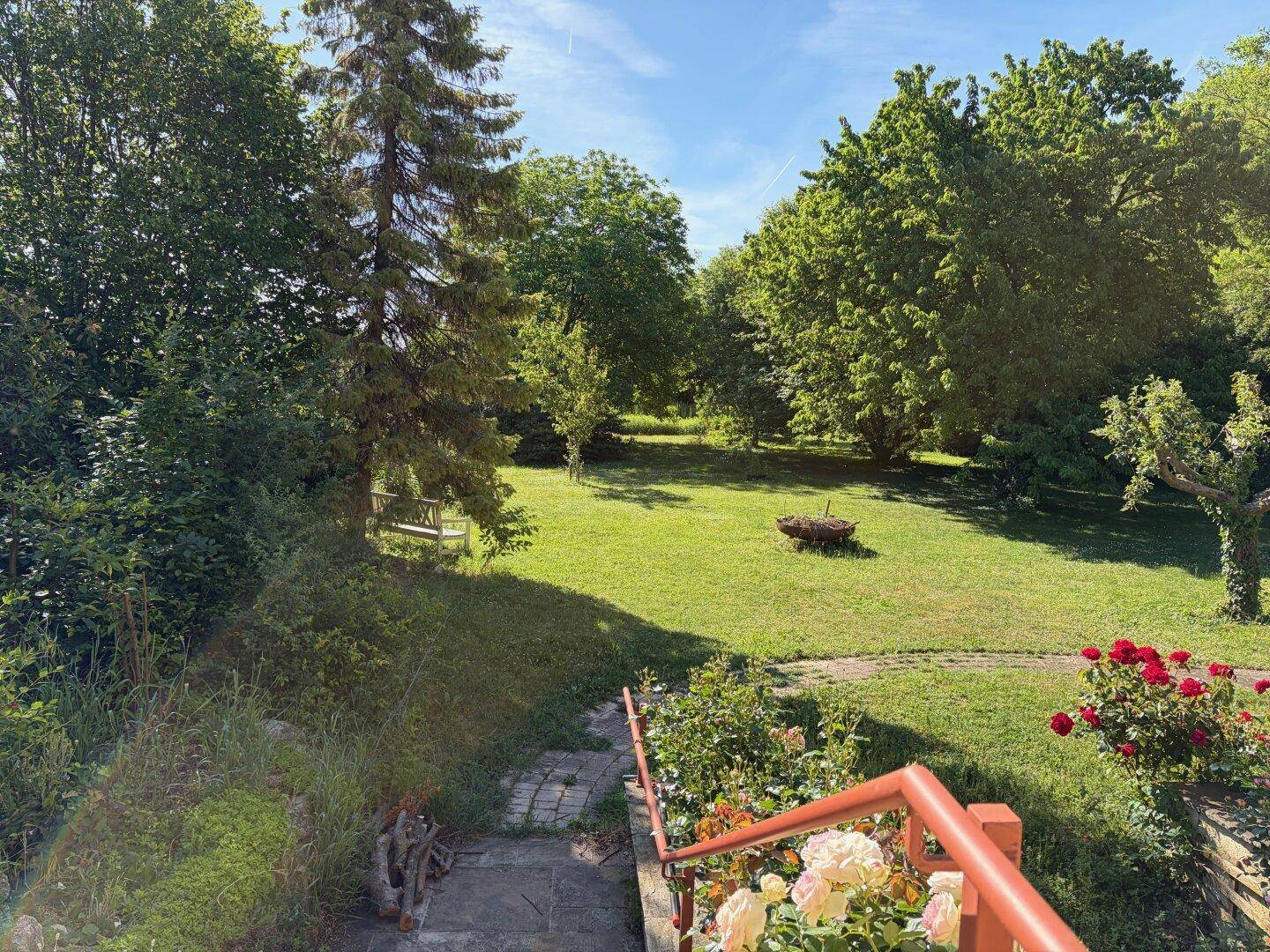 Weitläufiger grüner Garten mit altem Baumbestand und sonnigen Rasenflächen.