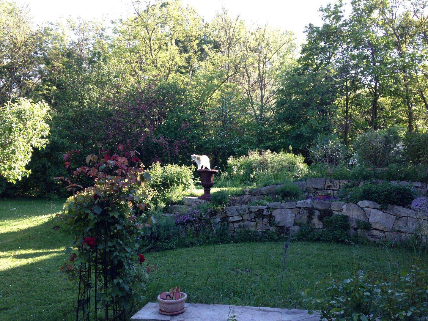 Gepflegter Gartenbereich mit Natursteinmauer, üppiger Bepflanzung und sonnigem Rasen.