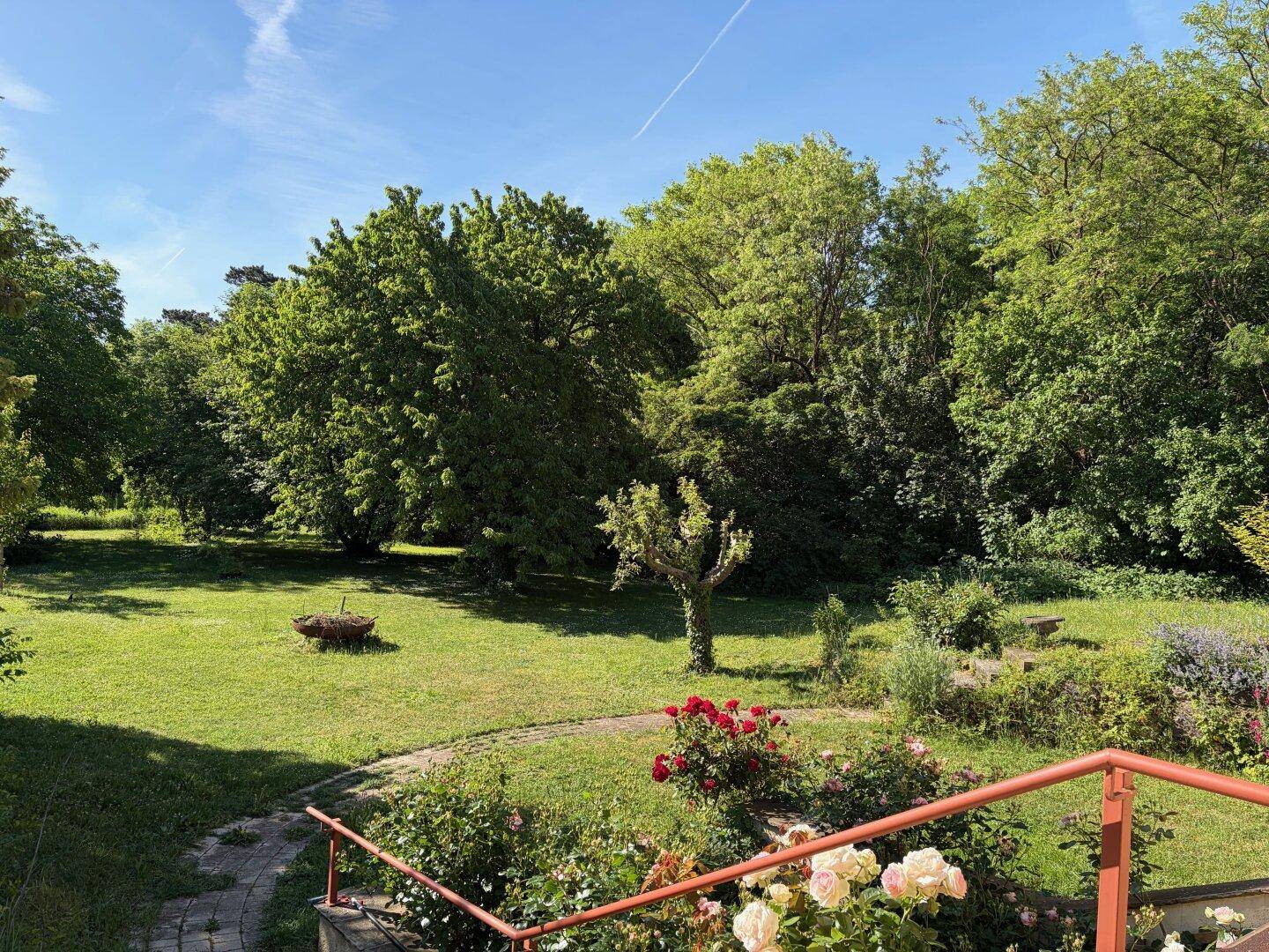 Weitläufiger Garten mit altem Baumbestand, sonnigen Rasenflächen und grüner Umgebung.
