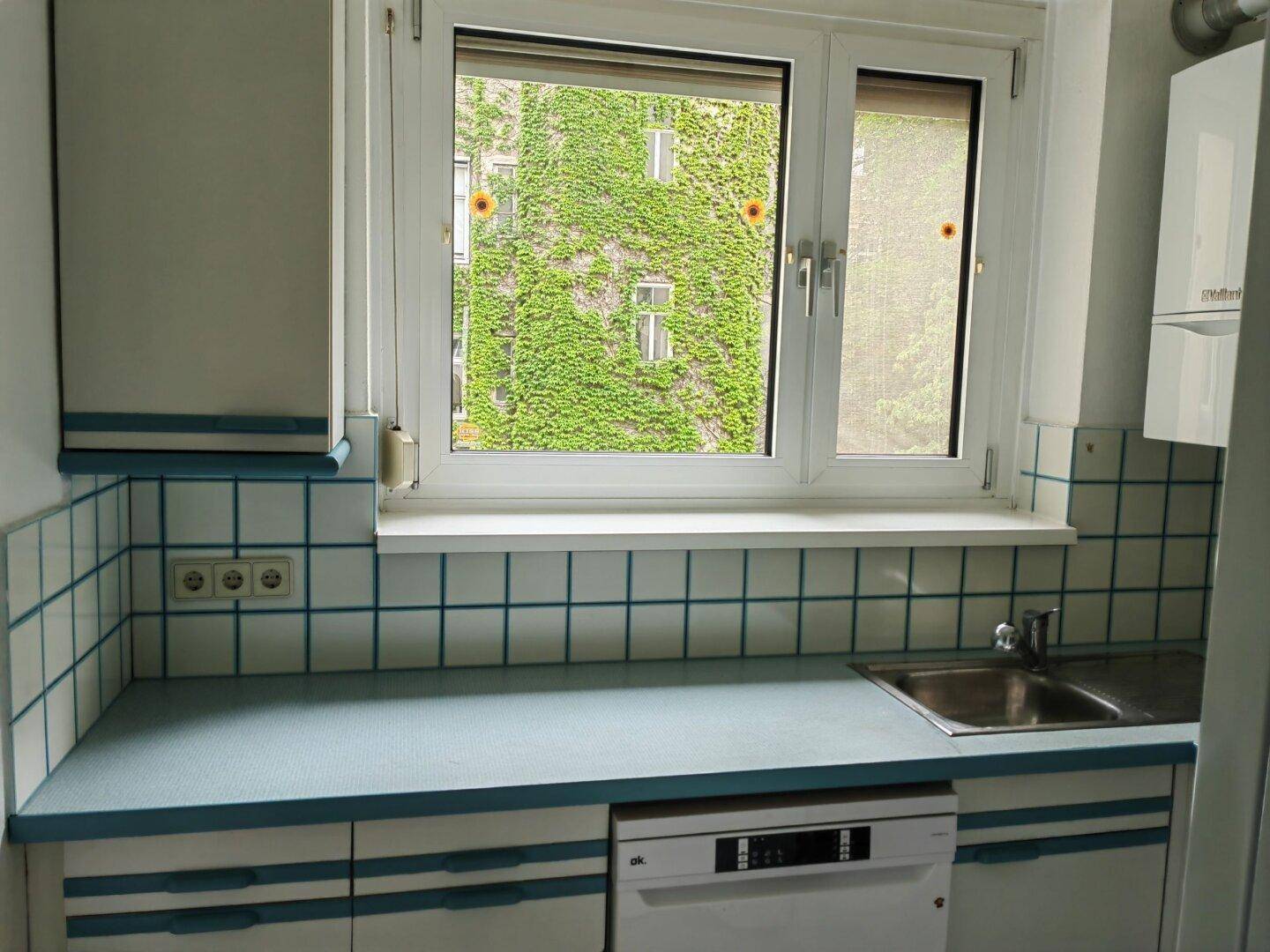 Küche mit Spülmaschine, blauen Fliesen und Fenster mit Blick auf eine grüne Fassade.