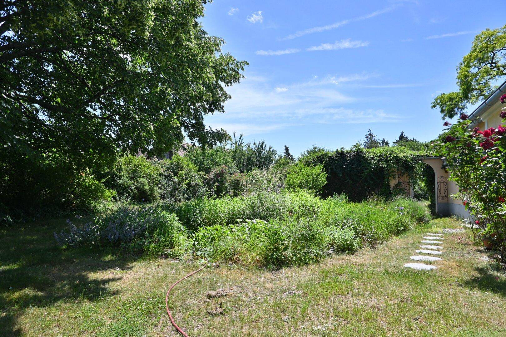 Naturbelassener Gartenbereich mit üppiger Vegetation und einem Pfad aus Trittsteinen.