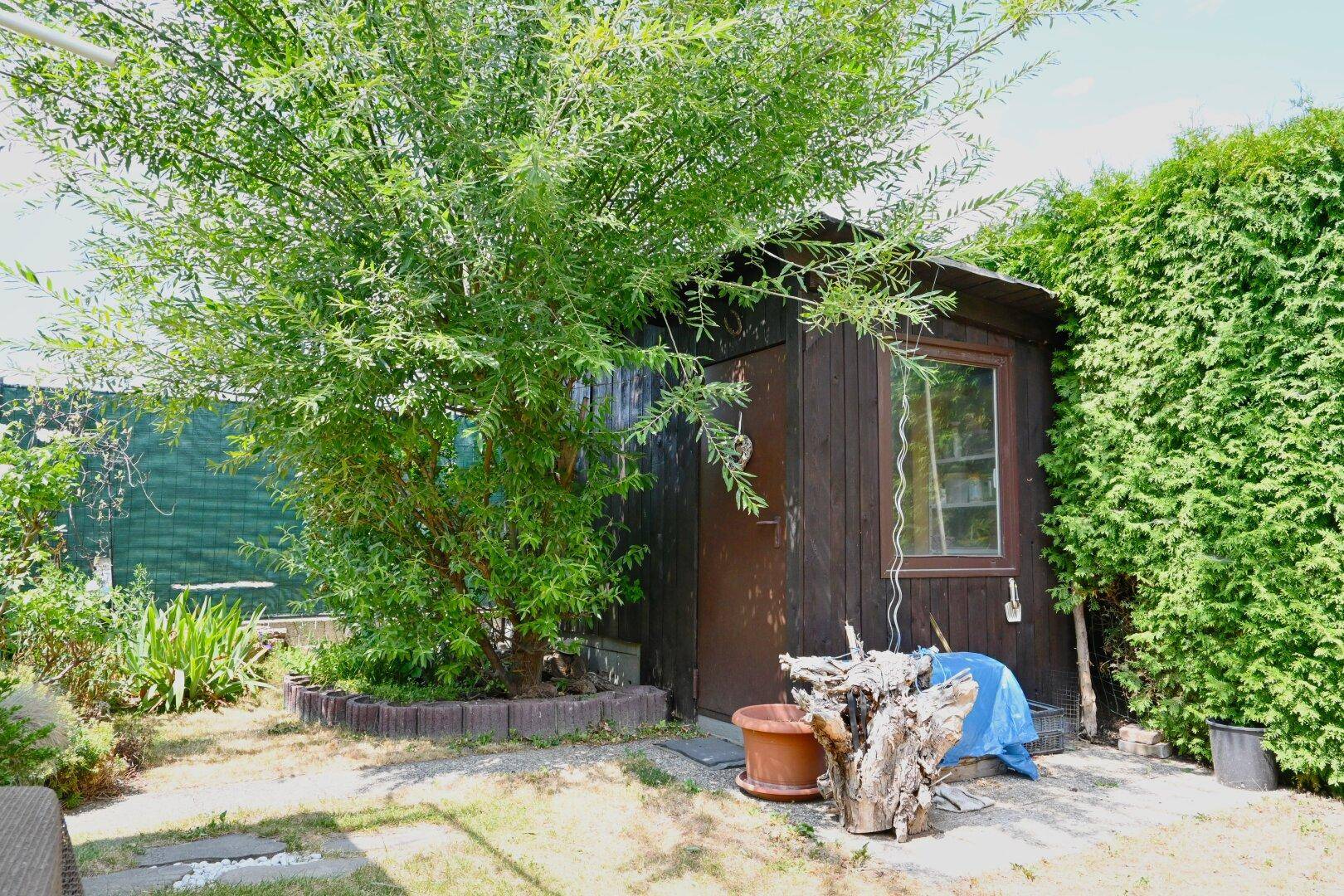 Garten mit Gartenhaus, Baum und hoher Hecke, bietet viel Grünfläche.
