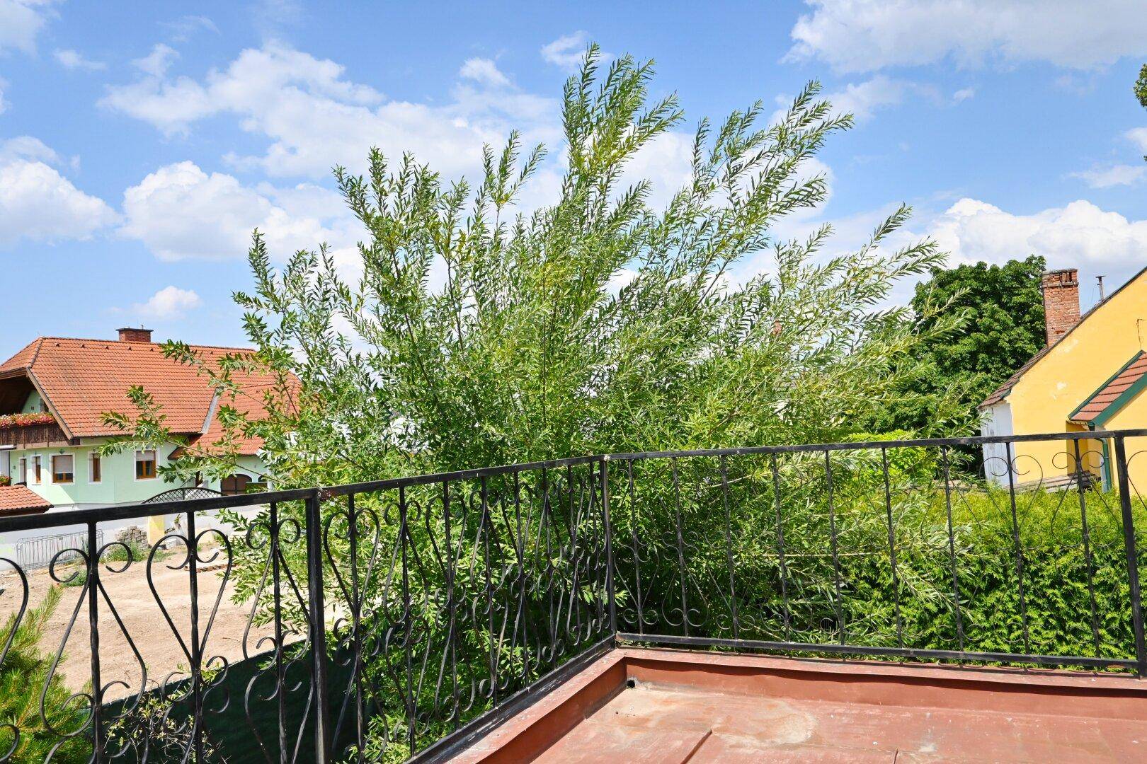 Balkon mit schmiedeeisernem Geländer und Blick auf Bäume und Nachbarschaft.