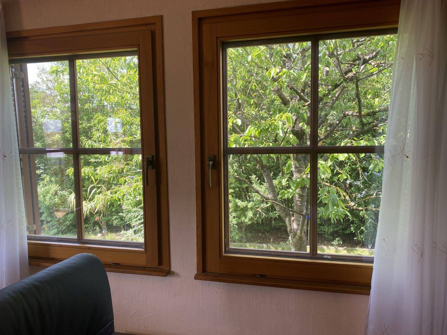 Blick aus dem Fenster in den grünen Garten mit Bäumen und Sträuchern.