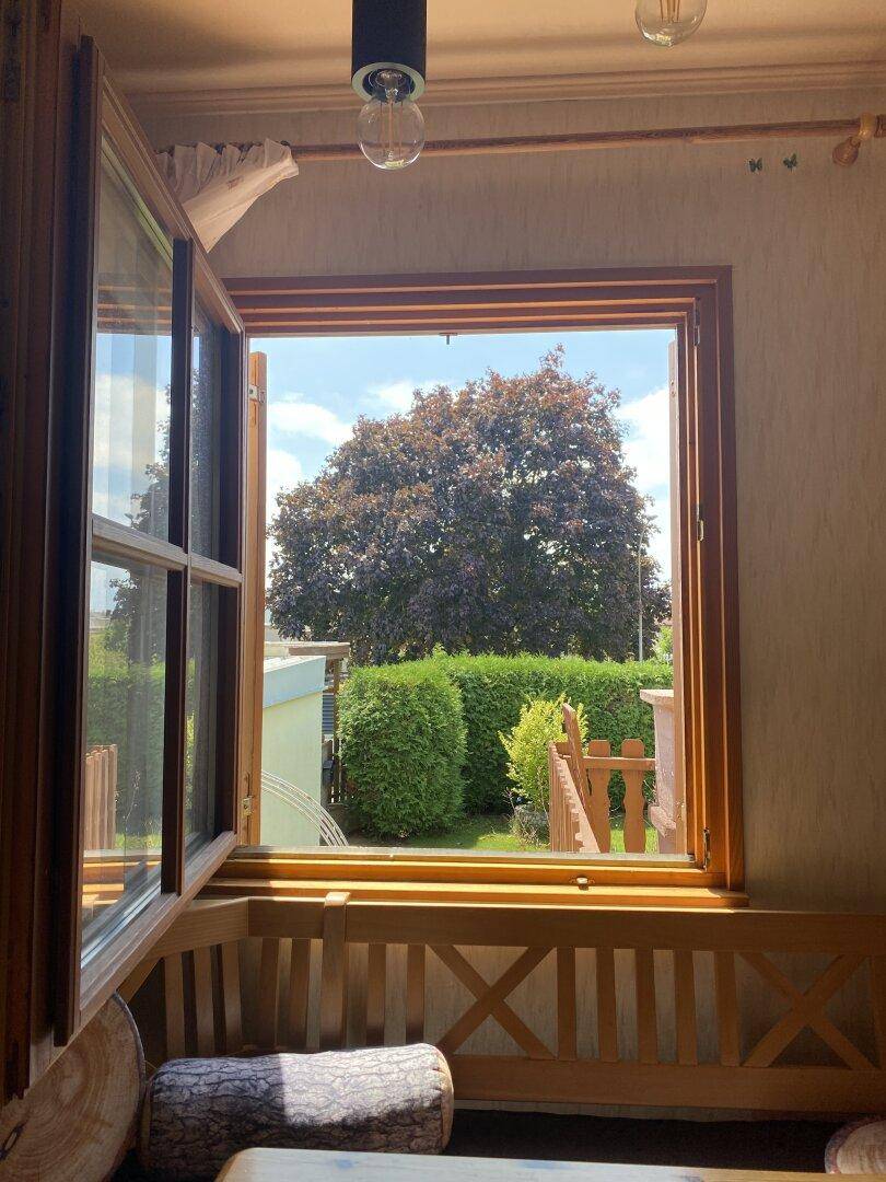 Offenes Fenster mit Blick auf einen großen Baum und eine gepflegte Hecke im Garten.