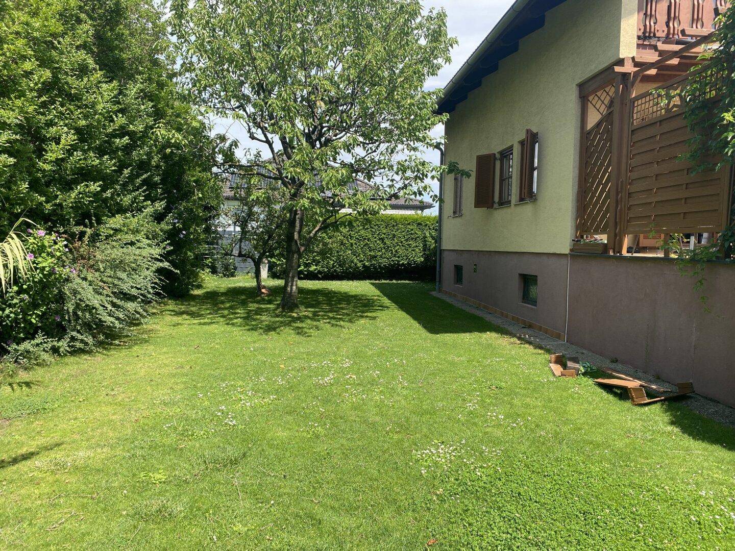 Gepflegter Gartenbereich mit Rasenfläche und verschiedenen Bäumen.