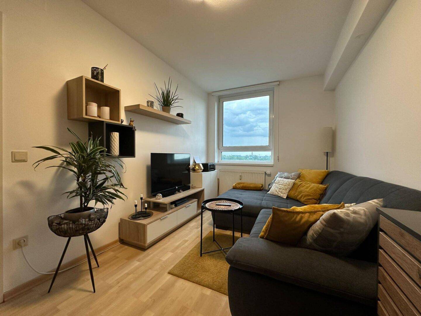 Gemütliches Wohnzimmer mit Sofa, Fernseher und modernen Regalen, hell beleuchtet durch ein Fenster.