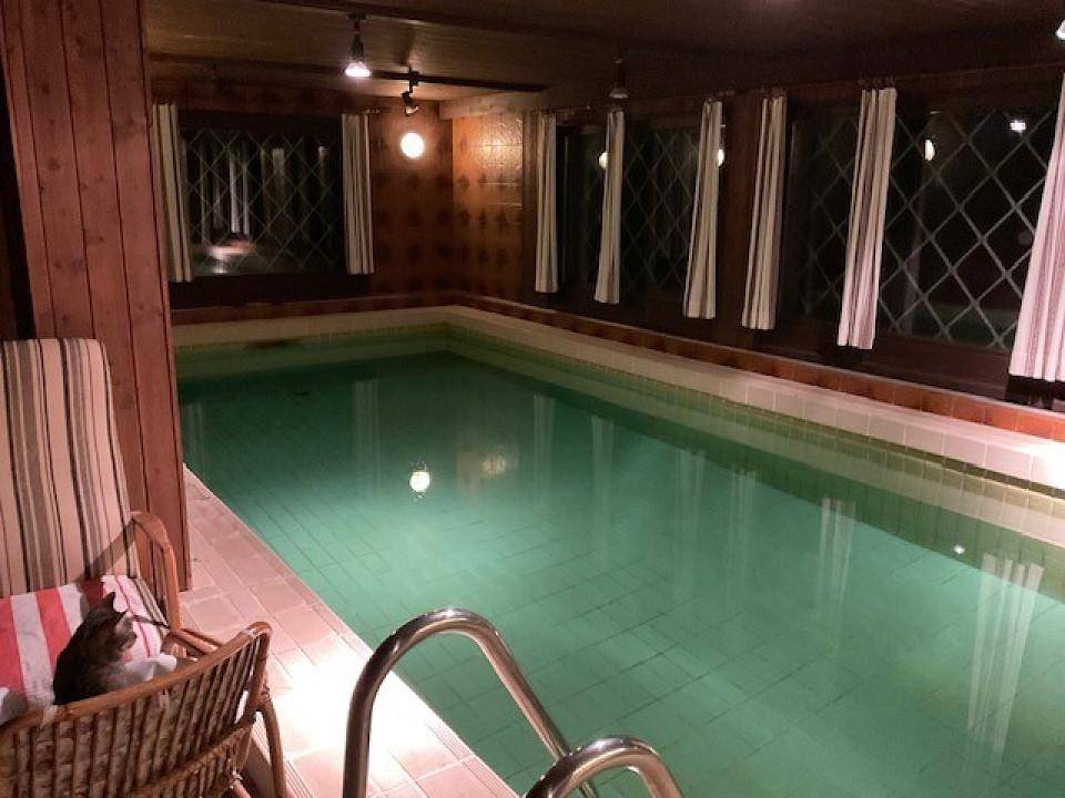 Beheizter Innenpool in einem rustikalen Raum mit Holzverkleidung und kleinen Fenstern.