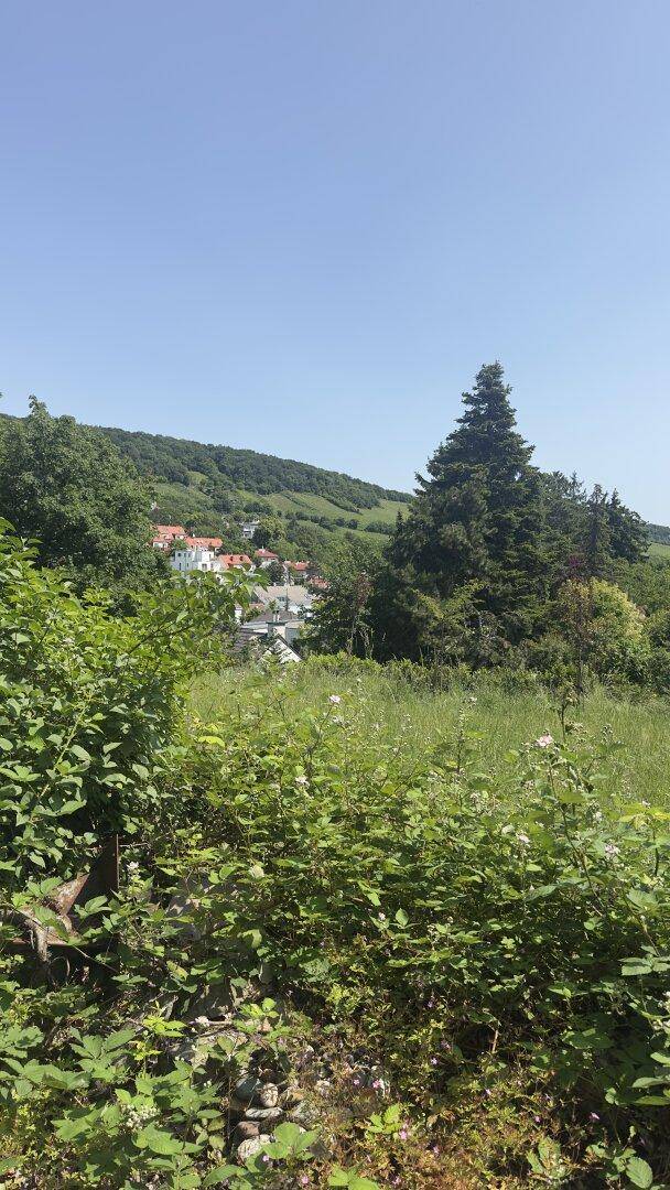 Weitläufiger Blick über ein charmantes Dorf, eingebettet in eine grüne Hügellandschaft unter klarem Himmel.
