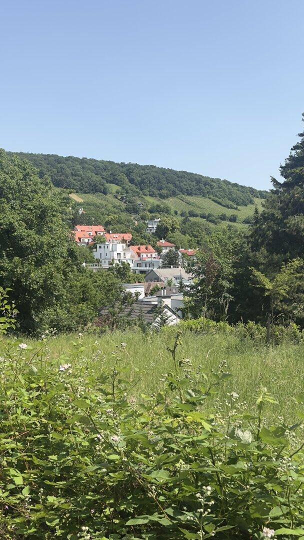 Panoramablick auf ein malerisches Dorf in einem grünen Tal, umgeben von bewaldeten Hügeln.