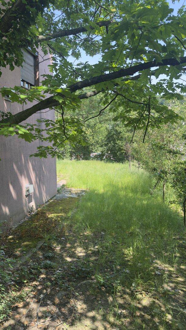 Seite eines Gebäudes neben einer großen, grasbewachsenen Fläche mit Bäumen im Hintergrund.