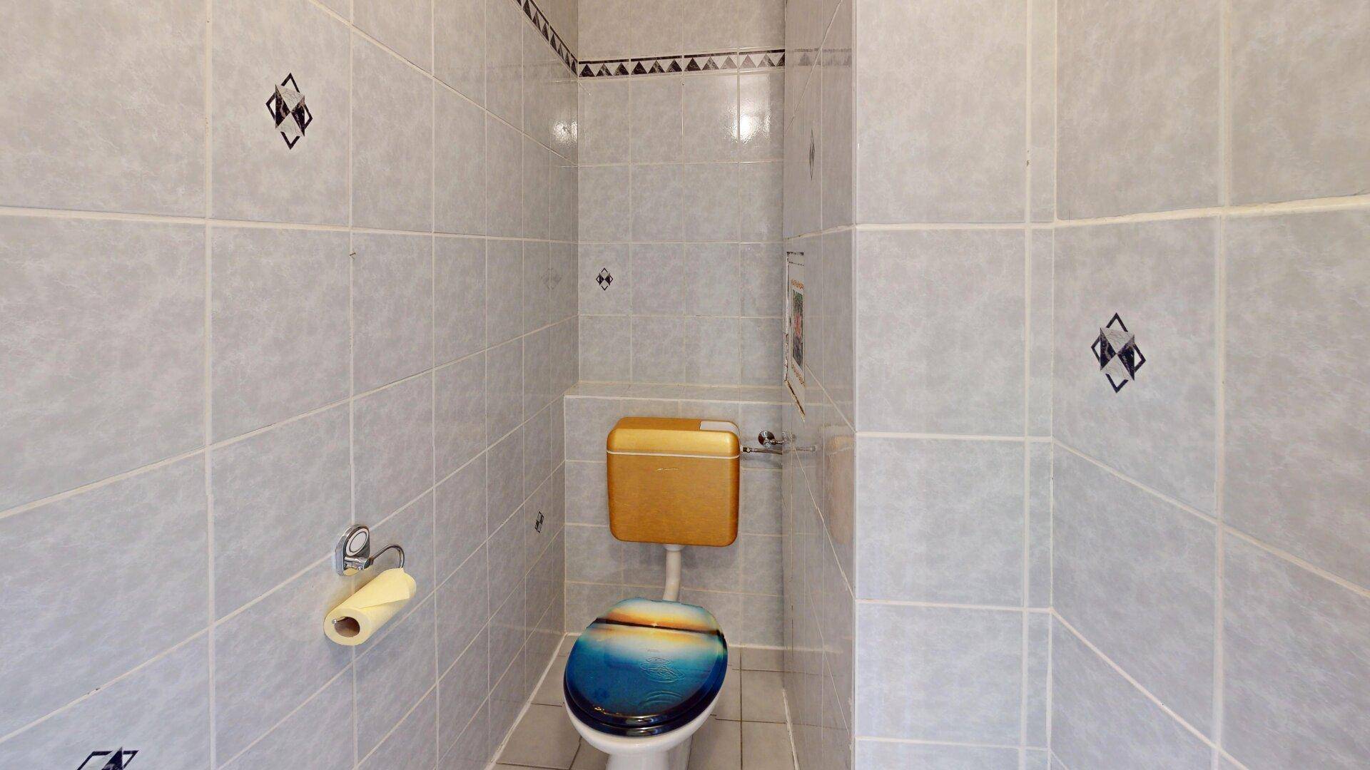 Separate Toilette mit blauen Fliesen und einem WC mit farbiger Brille.