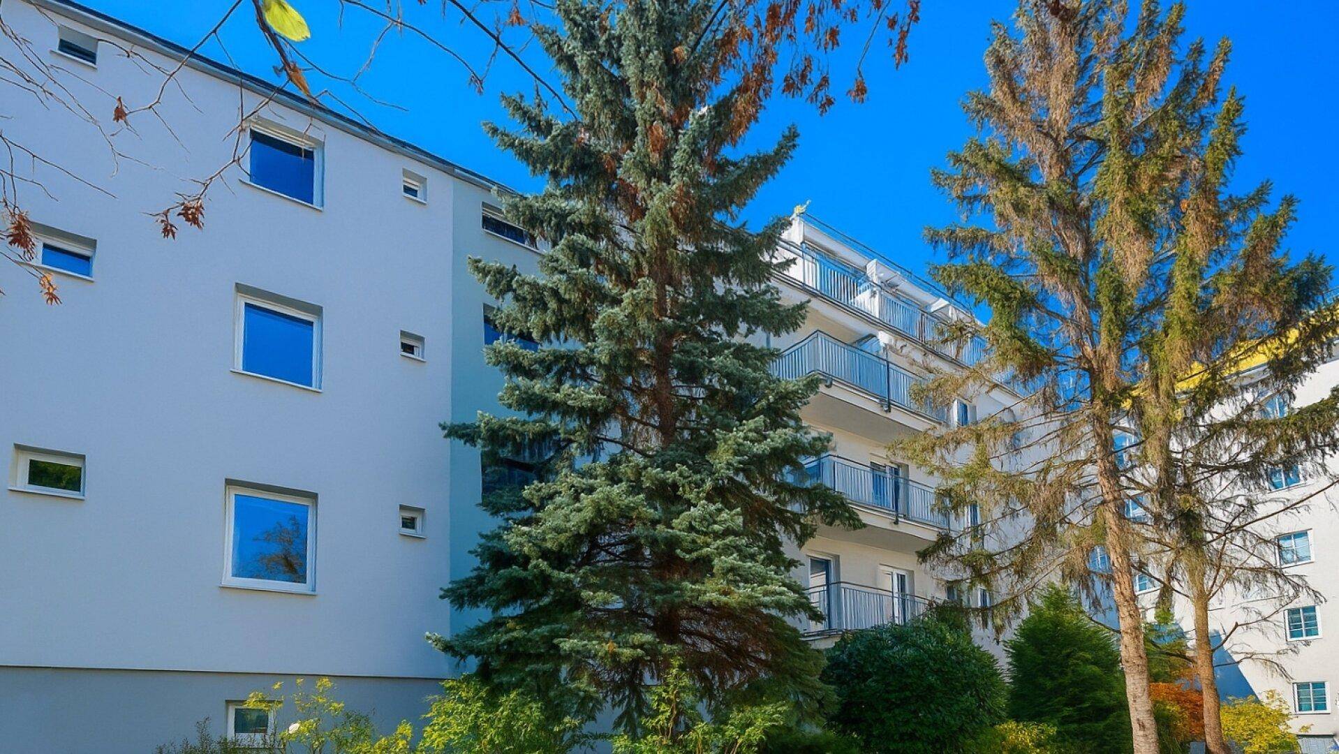 Fassade eines Wohnhauses mit mehreren Balkonen und hohen Nadelbäumen im Vordergrund.