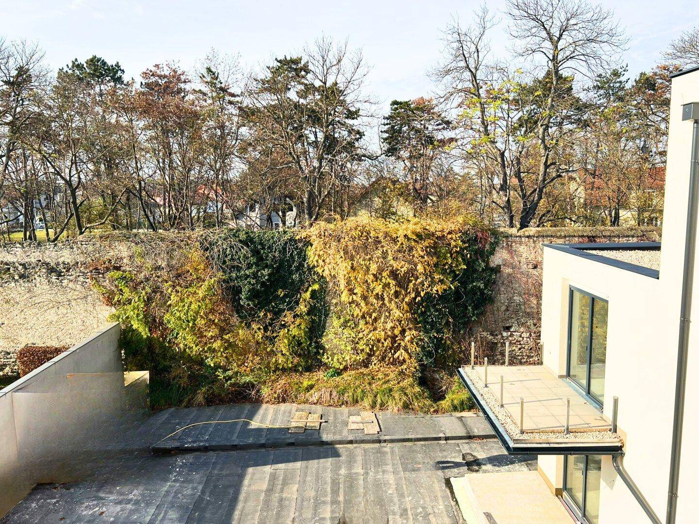 Unfertiger Außenbereich, möglicherweise eine Terrasse, mit Blick auf Bäume und eine bewachsene Steinmauer.