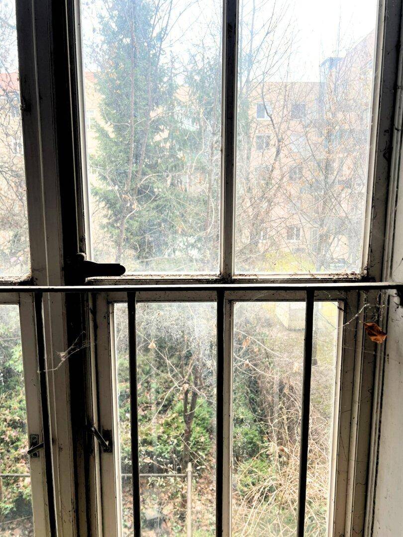 Blick aus einem alten Fenster mit Gitterstäben auf Bäume und umliegende Gebäude.