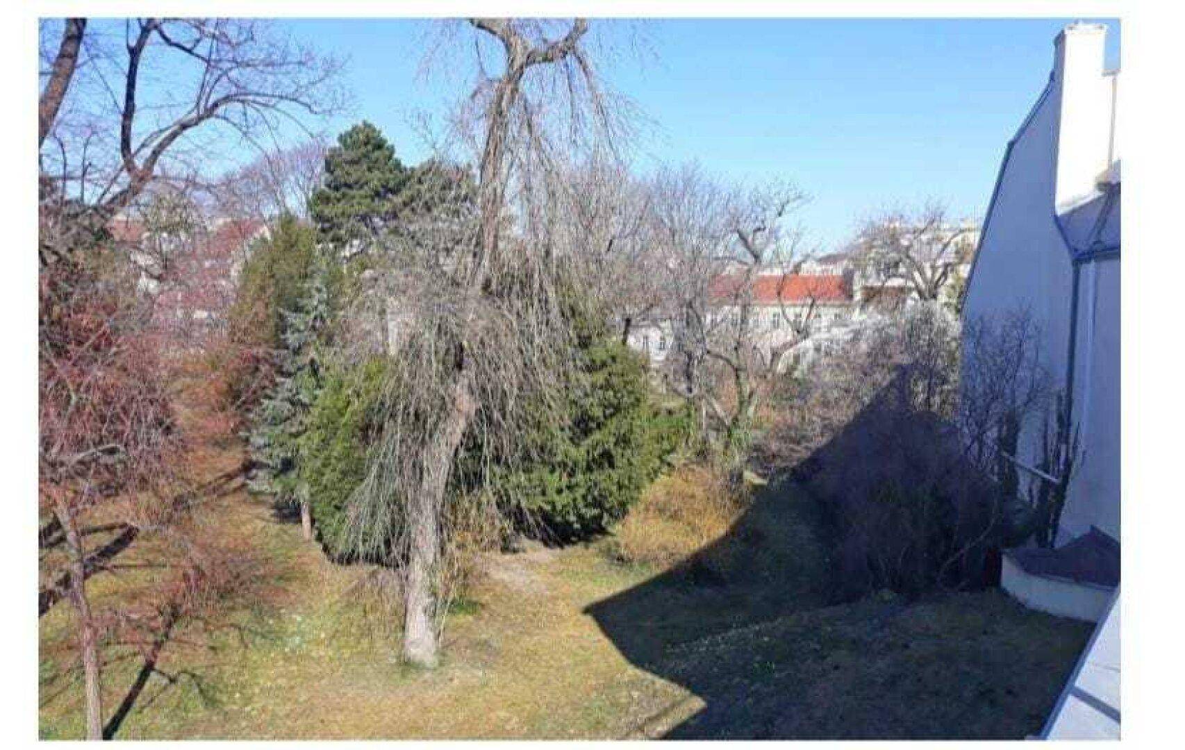 Gepflegte Gartenanlage mit verschiedenen Bäumen und viel Grünfläche.