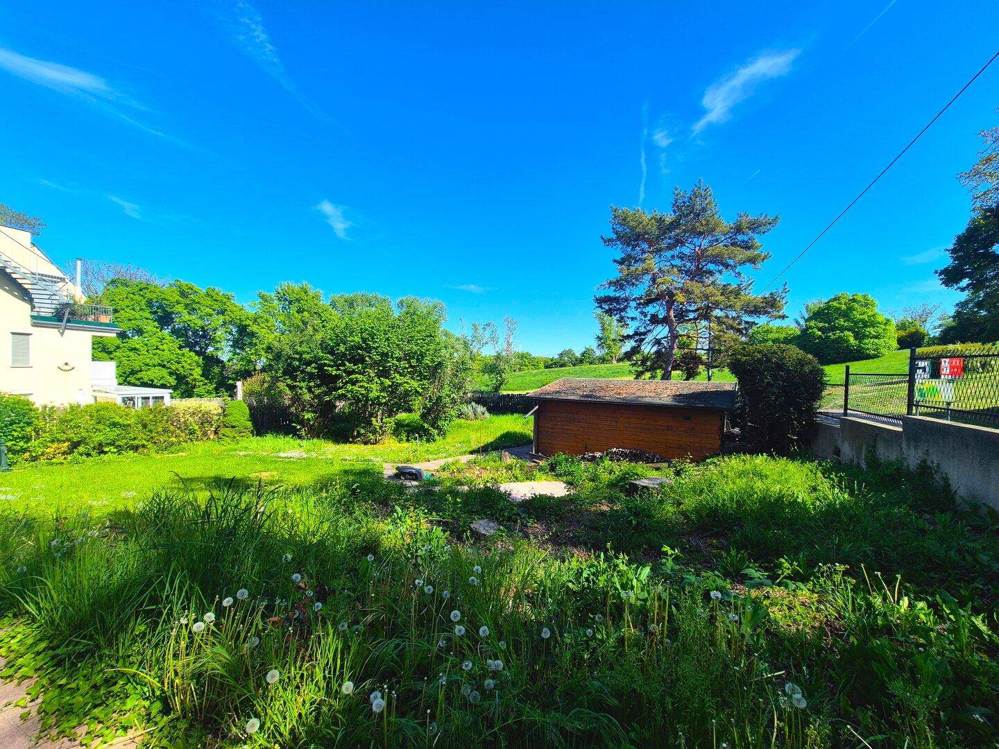 Großer, sonniger Gartenbereich mit viel Grün, Wildblumen und einem kleinen Gartenhaus im Hintergrund.