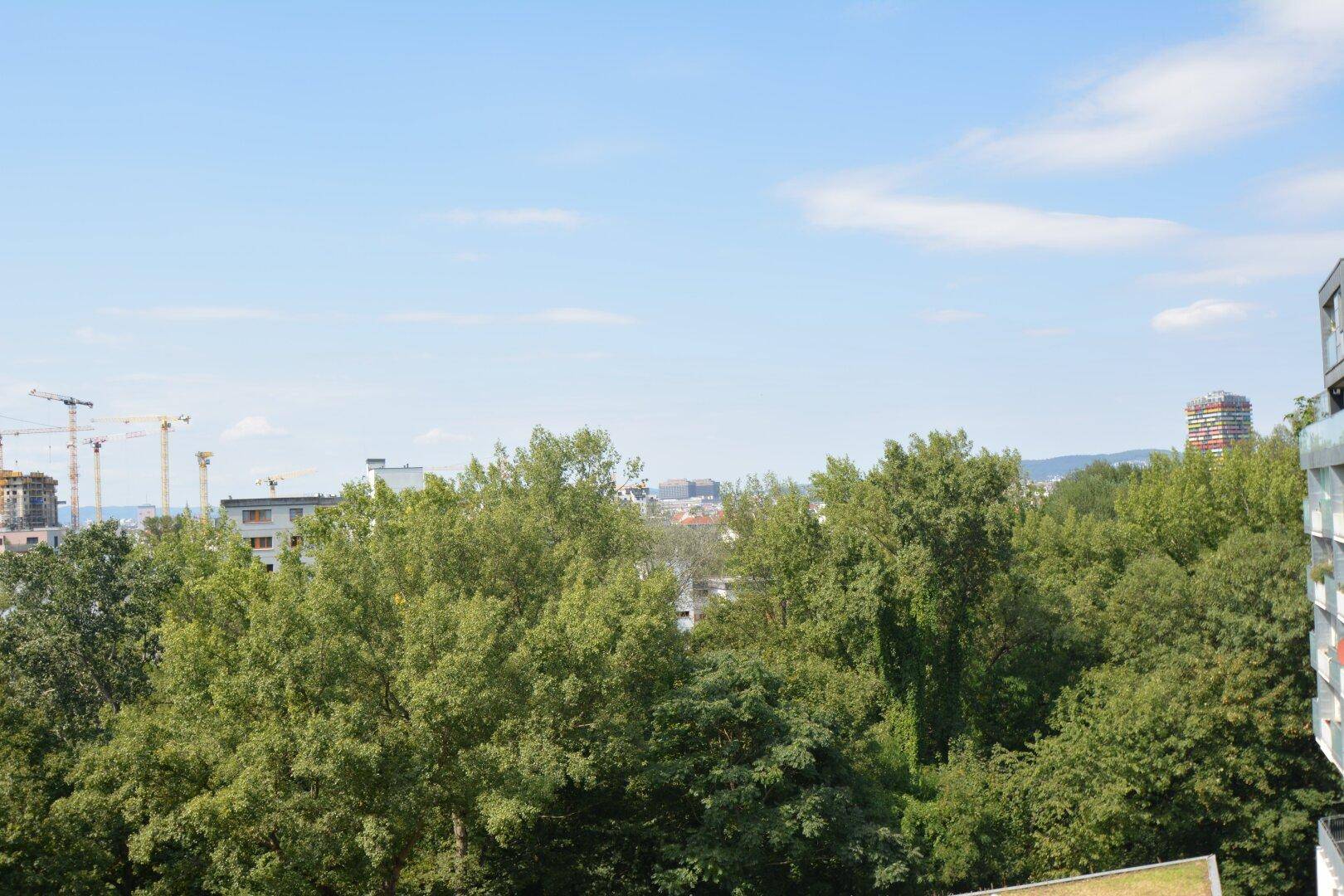 Weitläufiger Blick über grüne Baumwipfel und die städtische Skyline unter blauem Himmel.