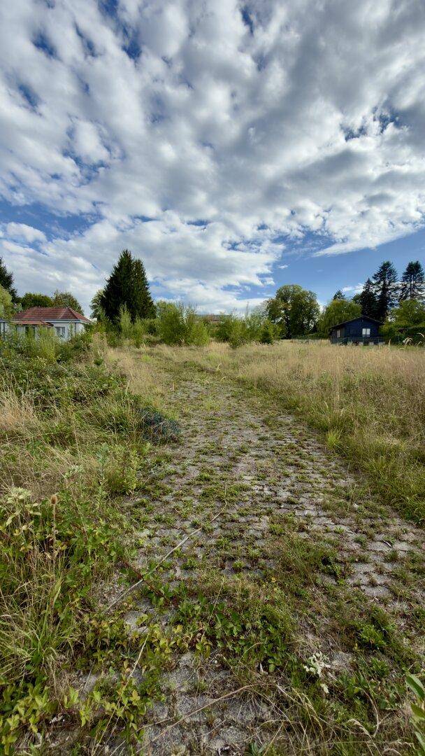 Großes Grundstück mit üppigem Grasbewuchs, einem ehemaligen gepflasterten Zugang und Häusern im Hintergrund.