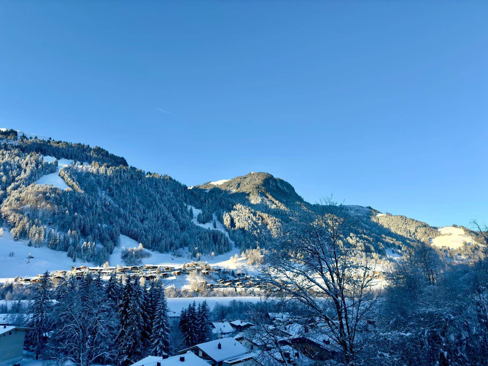 Winterliche Berglandschaft mit schneebedeckten Bäumen und Häusern im Tal unter blauem Himmel.