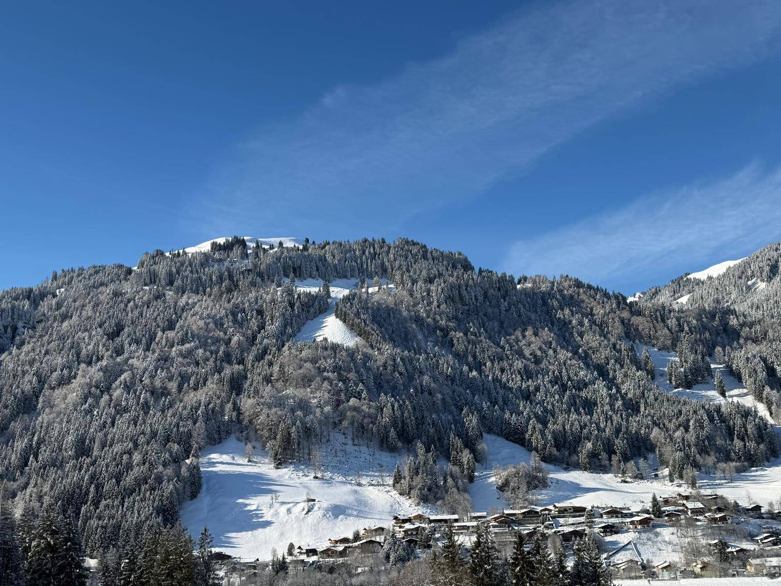 Weitläufige, schneebedeckte Berglandschaft mit dichten Wäldern und einem Dorf im Tal.