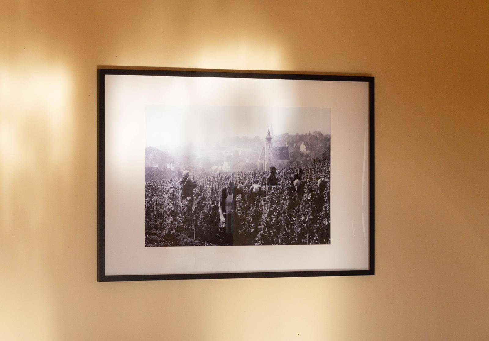 Gerahmtes Schwarz-Weiß-Foto von Weinlese in einem Weinberg, an der Wand des Esszimmers.