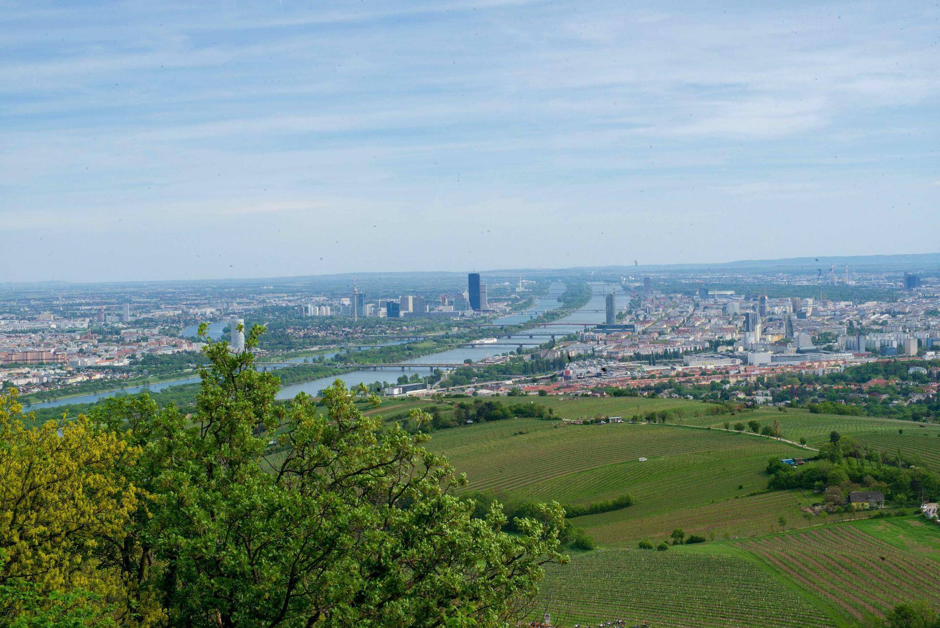 Panoramablick auf eine Stadt, einen Fluss und die grüne Landschaft von einem hohen Aussichtspunkt.