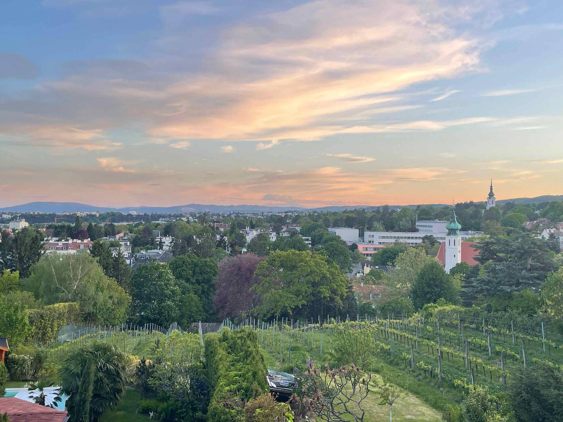 Weitläufiger Blick über eine Stadt mit Weinbergen und grünen Bäumen bei Sonnenuntergang.