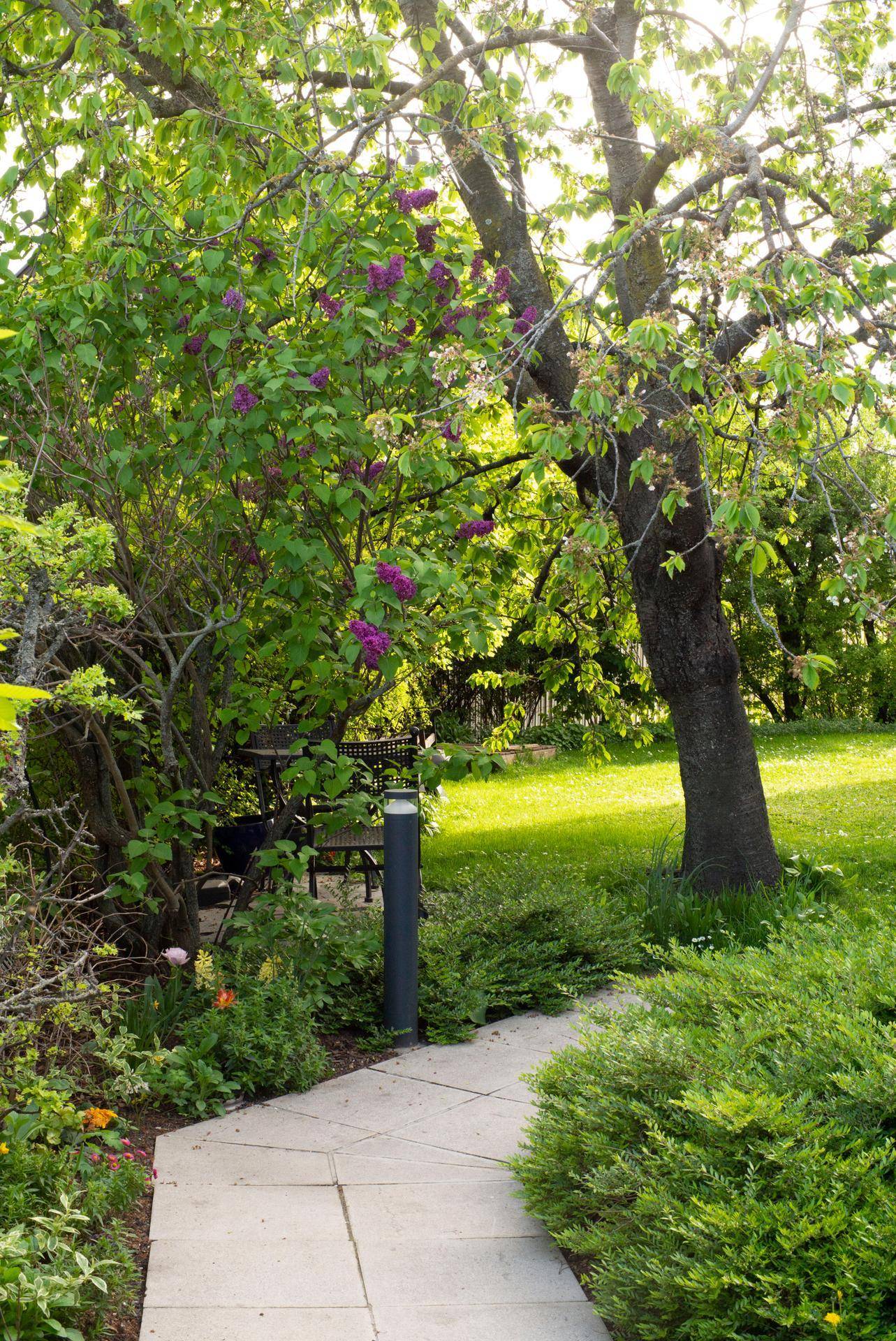 Geschwungener Gartenweg durch üppiges Grün, umgeben von Bäumen und blühenden Sträuchern.