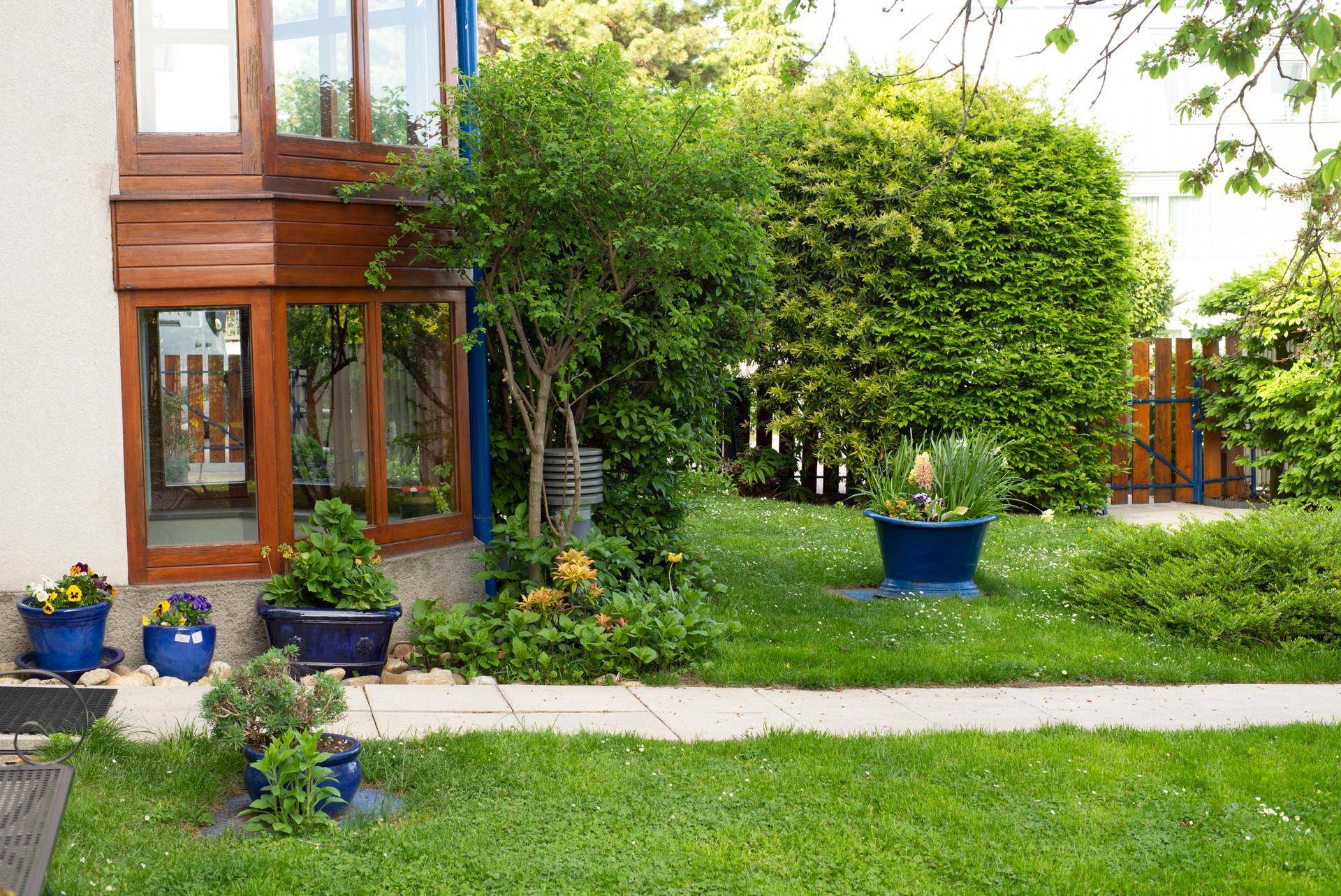 Vorgartenbereich mit gepflastertem Weg, verschiedenen Topfpflanzen und einem Erkerfenster des Hauses.